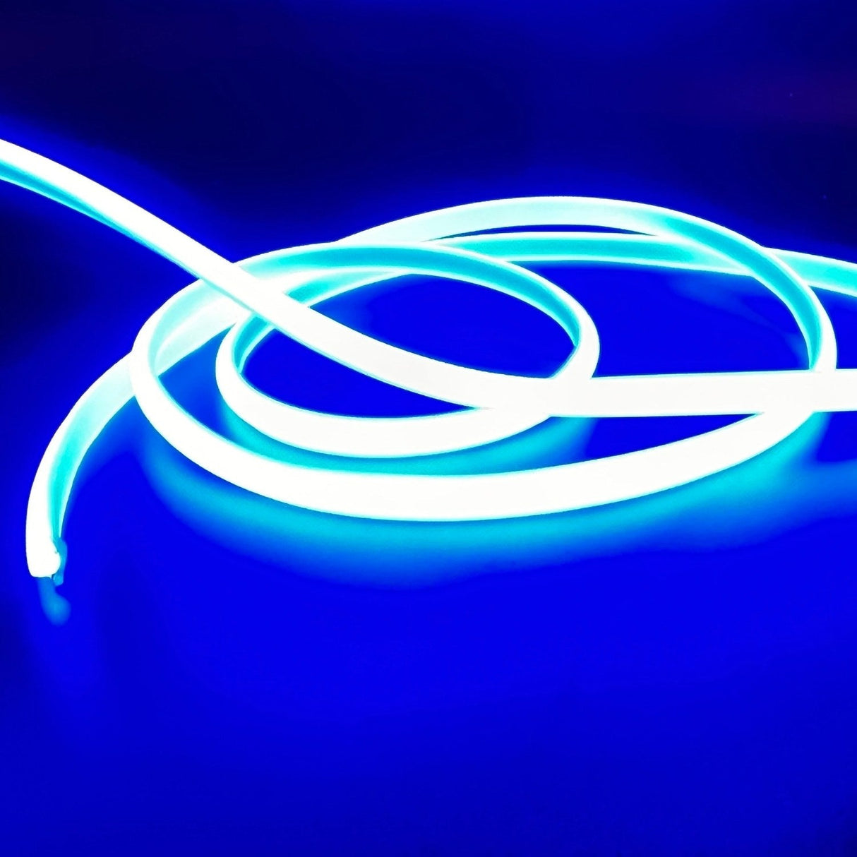 Blue COB LED Strip Light 220V 240V 288 LEDs/m IP65 with UK Plug - UK LED Lights