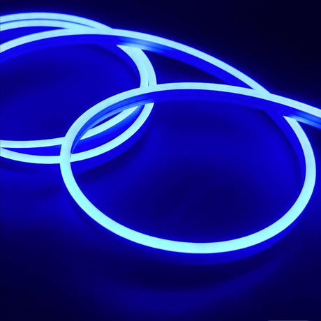 Blue LED Neon Flex 12V 8x16mm 120 LEDs/m IP65 Waterproof 5 Metre - UK LED Lights