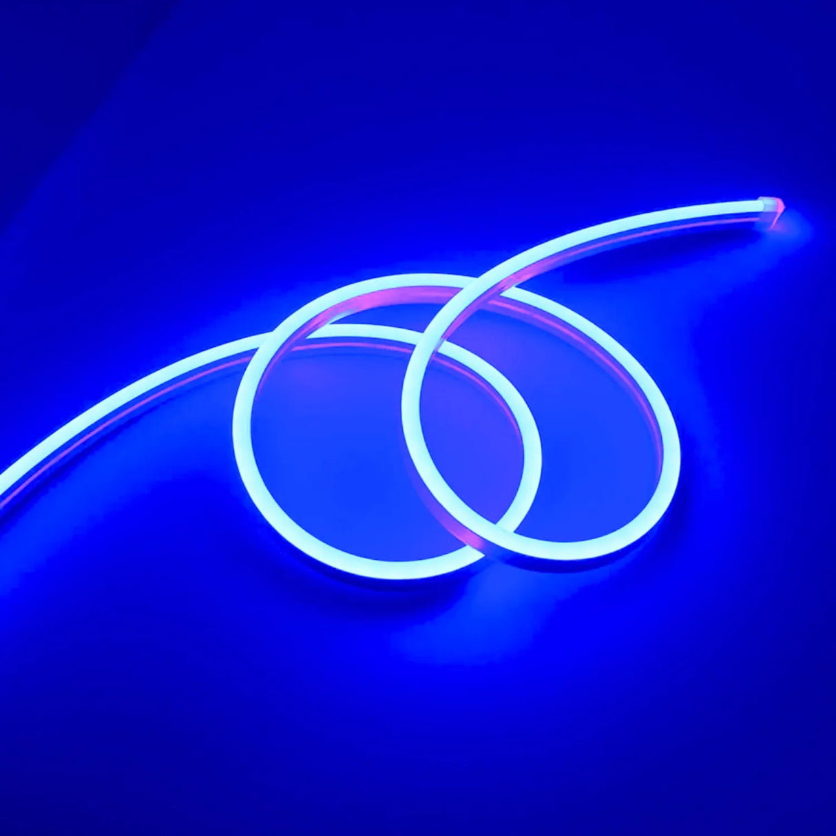 Blue LED Neon Flex 12V 8x16mm 120 LEDs/m IP65 Waterproof 5 Metre - UK LED Lights