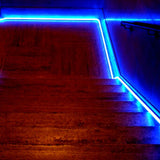 Blue LED Neon Flex 8x16mm 120LEDs/m 220V 240V IP65 Waterproof with UK Plug - UK LED Lights