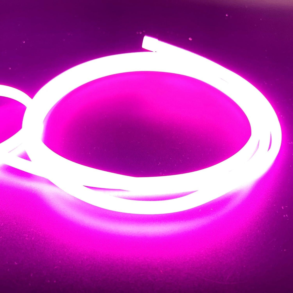 COB LED Strip Light Pink Neon Flex 220V 240V 288 LEDs/m IP65 with UK Plug - UK LED Lights