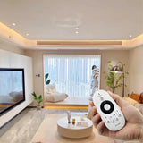 Miboxer Zigbee 3.0 E2 - ZR 2 in 1 LED Light Strip Controller 12V - 24V - UK LED Lights