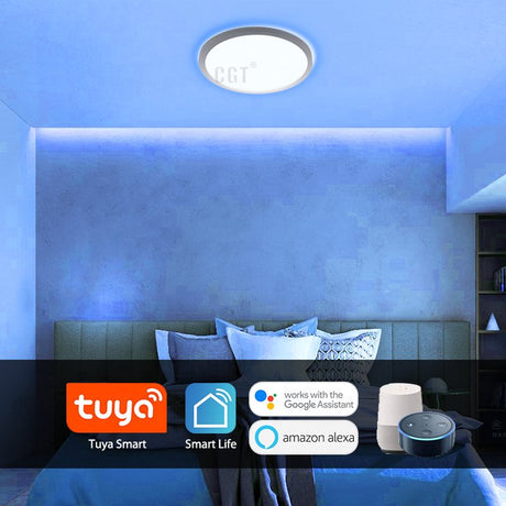 RGB LED Strip 220V 240V 120LEDs/m WiFi Tuya APP LED controller with 24key Remote - UK LED Lights